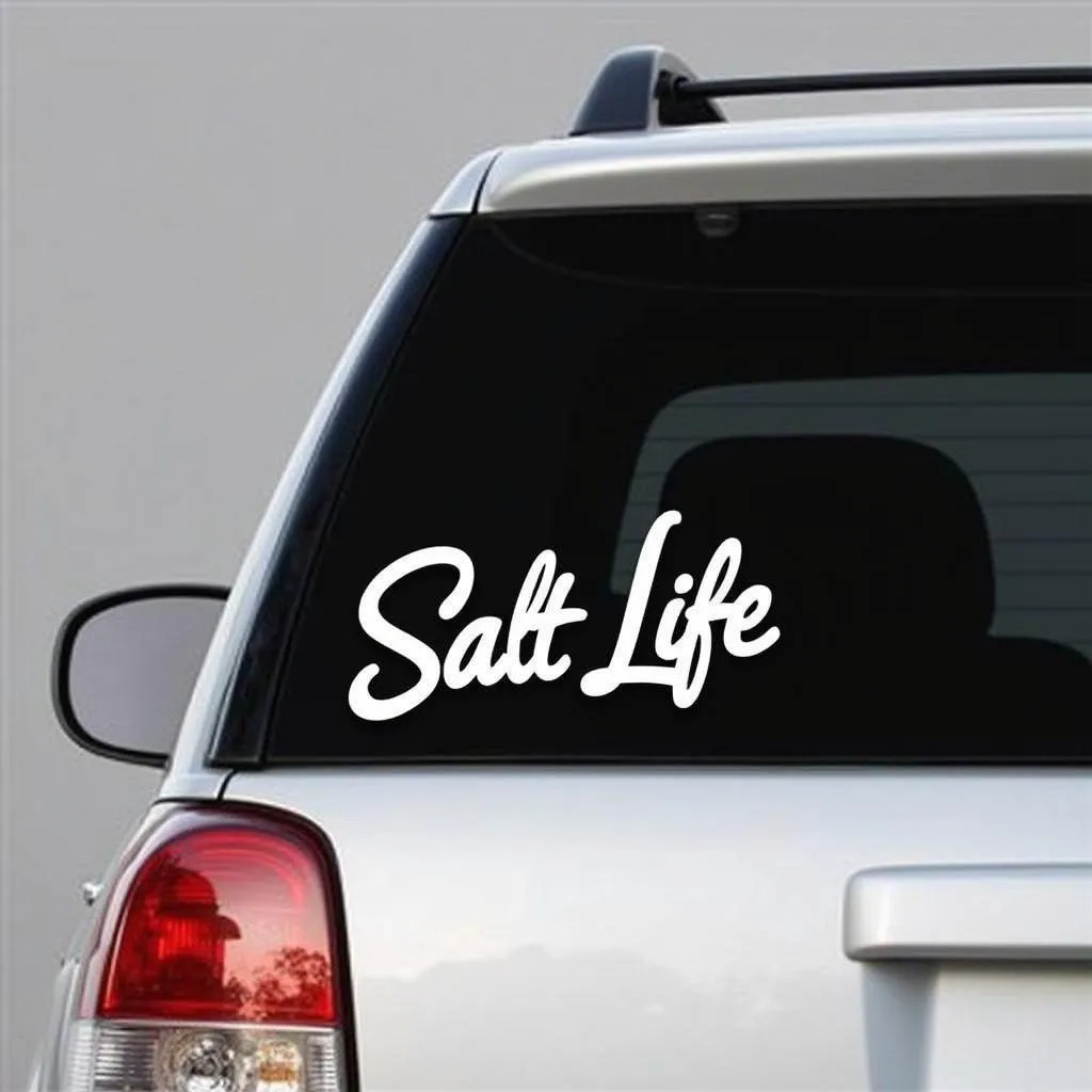 Salt life decal on a car window