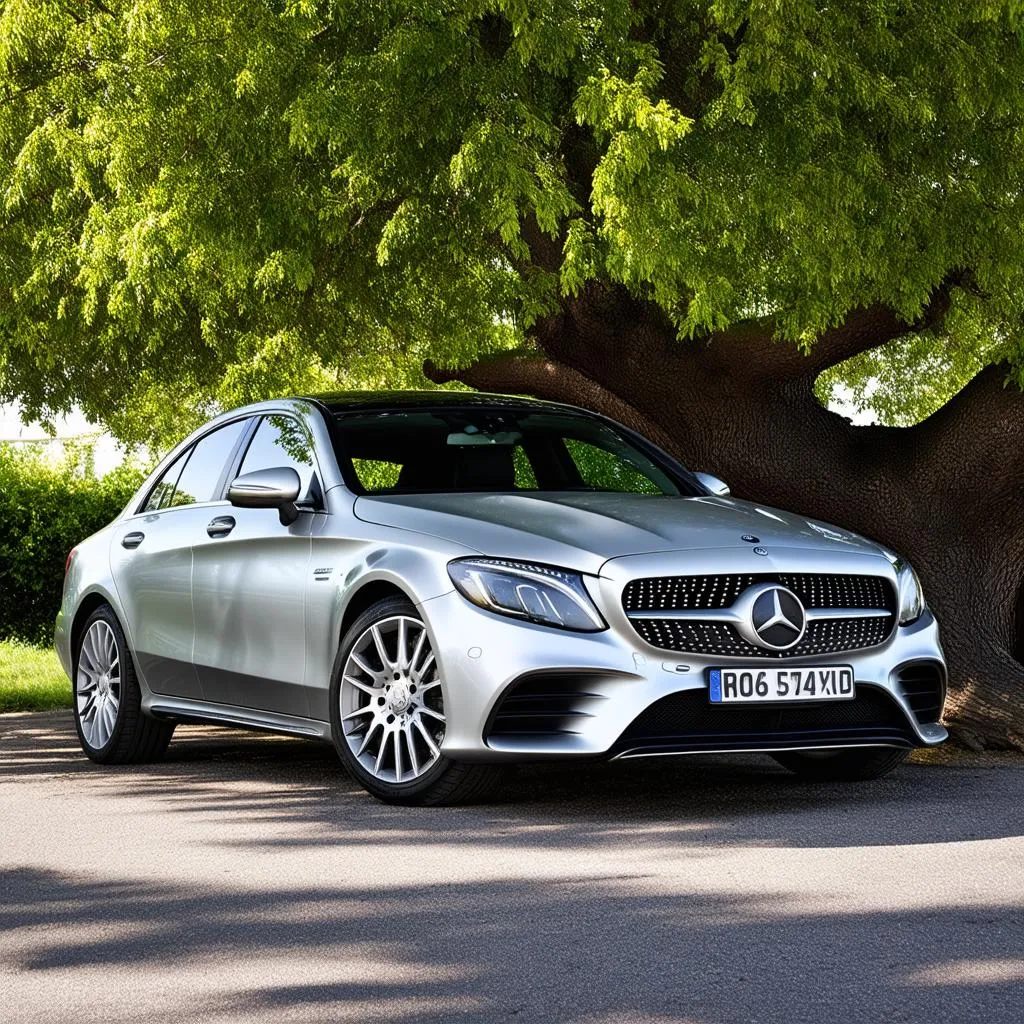 Car Parked in Shade