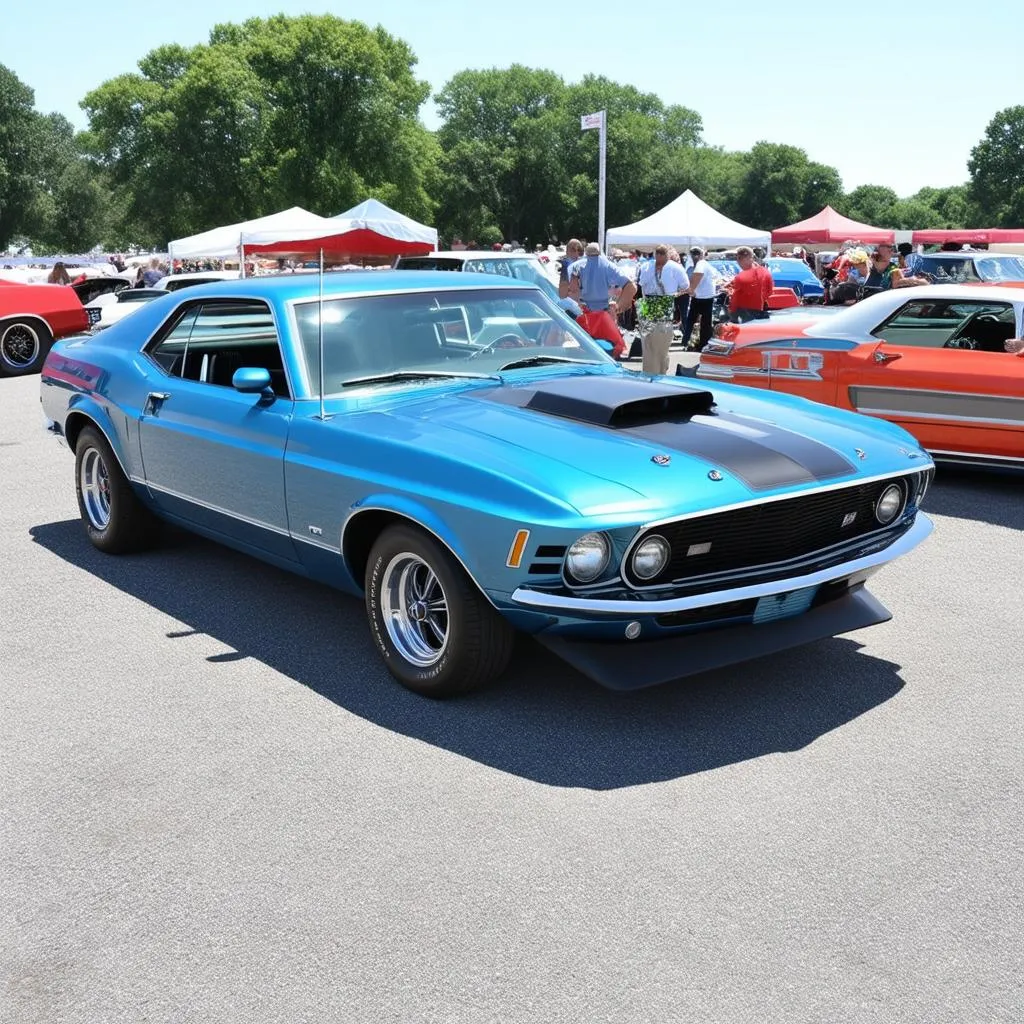 Classic Cars on Display