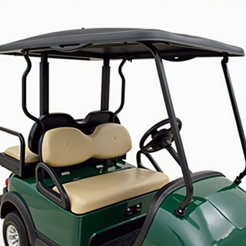 Club Car Precedent with a solid extended roof