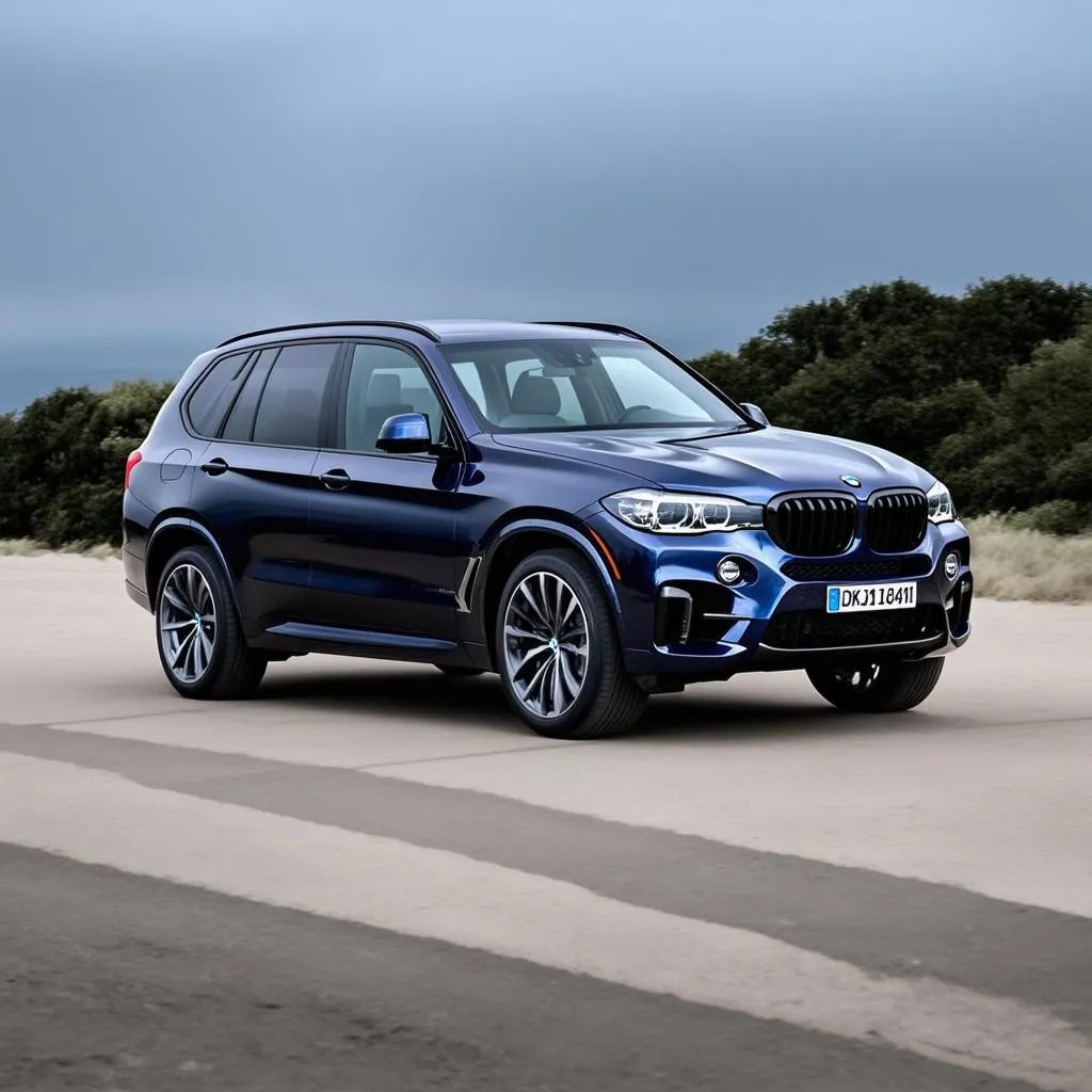 BMW dark blue X5