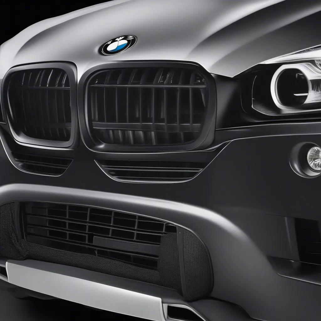 Car front protector for a BMW X5