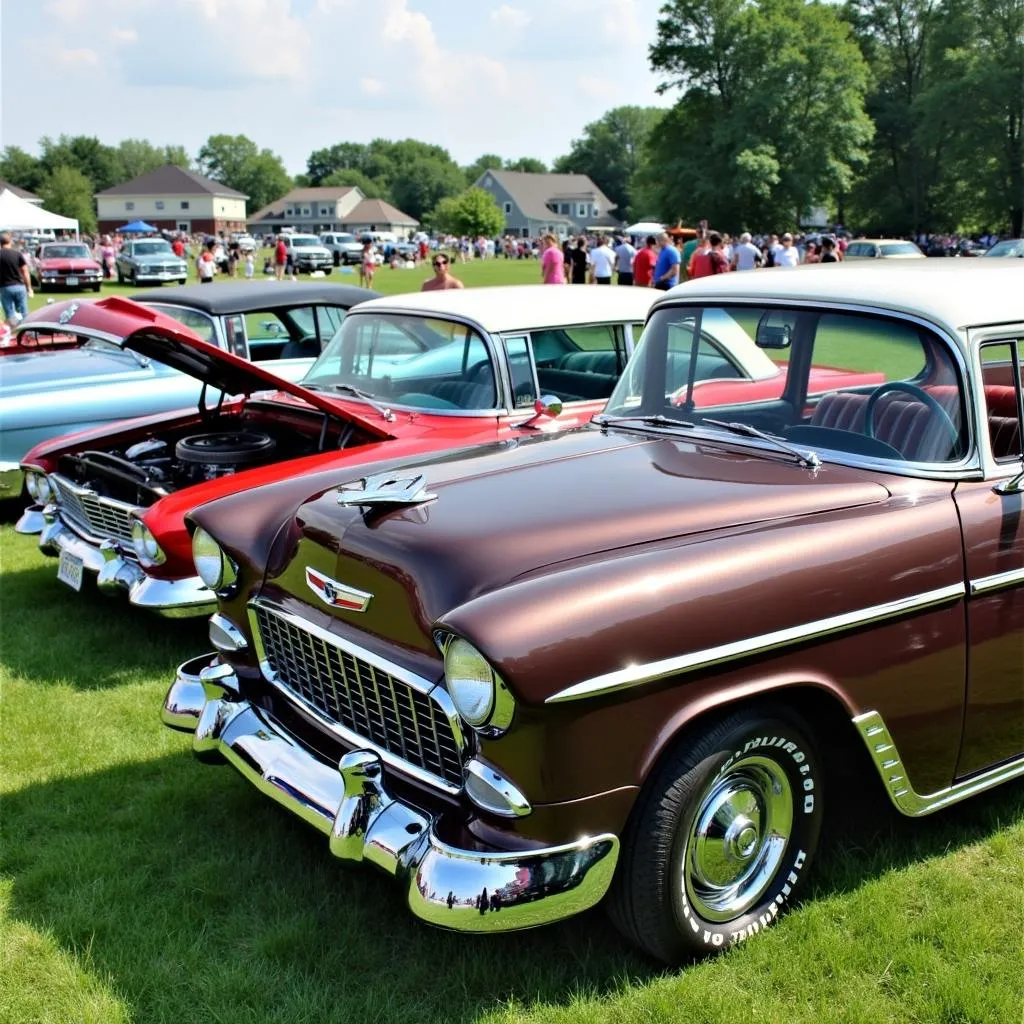 Classic Cars on Display at the Green Lake Wisconsin Car Show