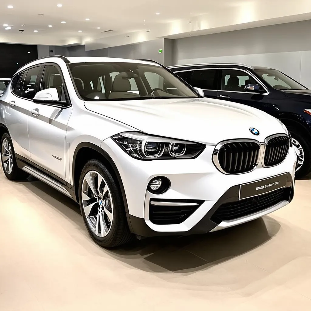 Used BMW X1 Dealership