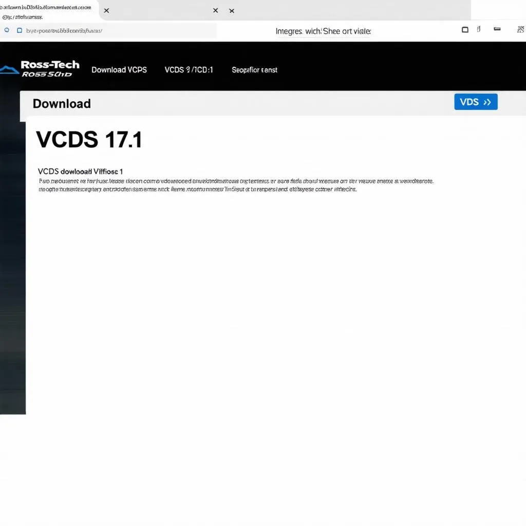 vcds 17.1