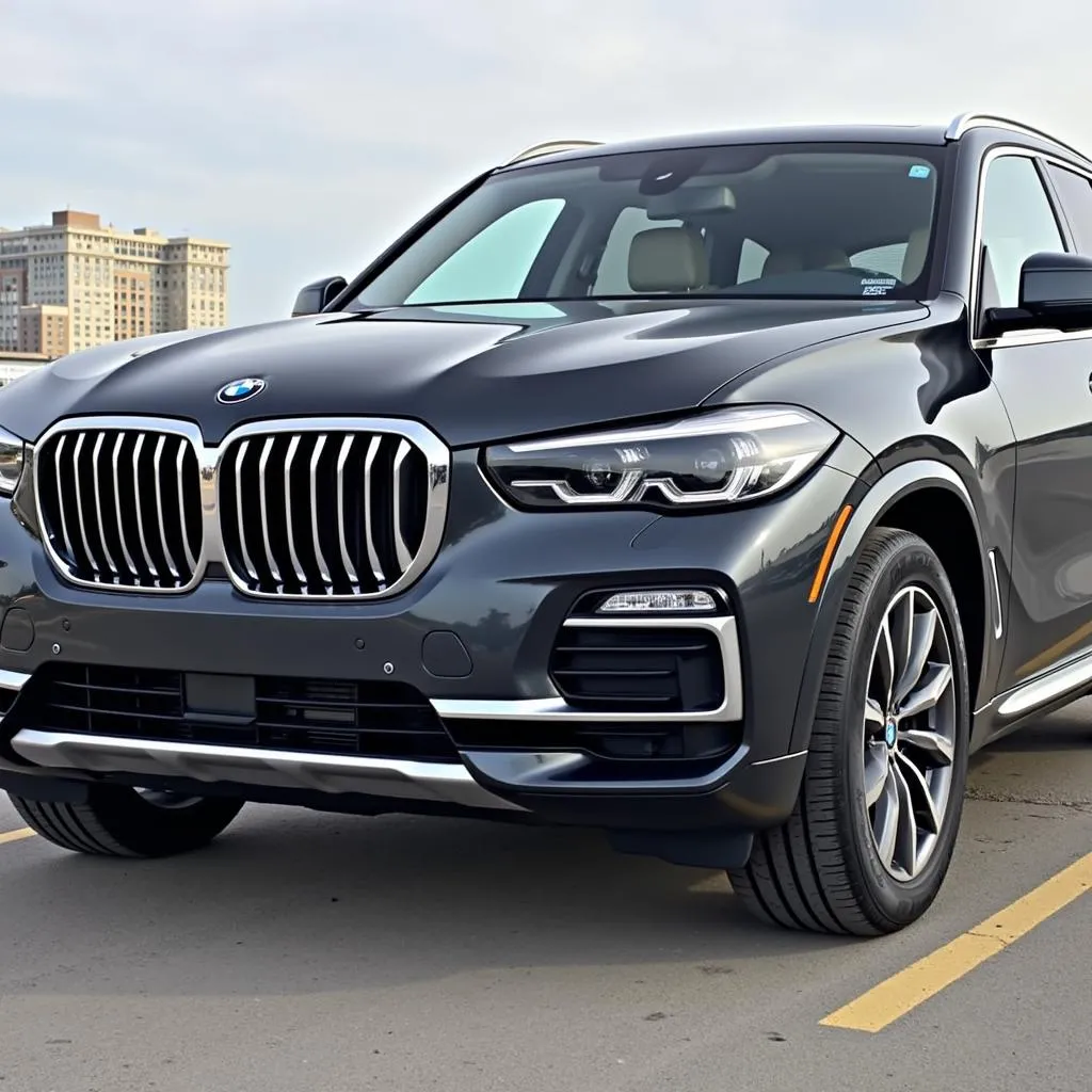 2024 BMW X5 Exterior