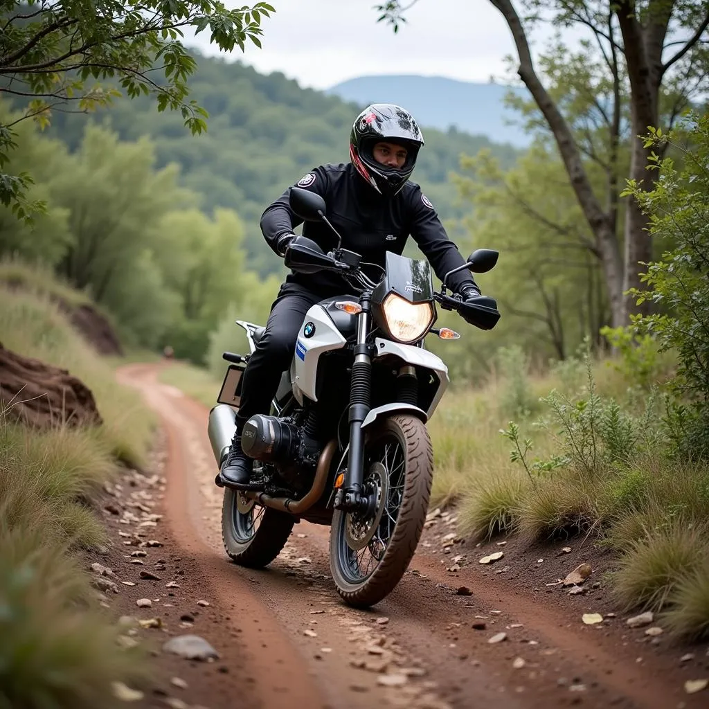 BMW 310 GS on an off-road trail