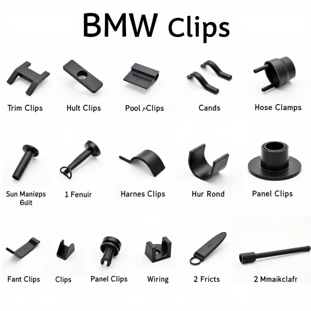 Types of BMW Clips