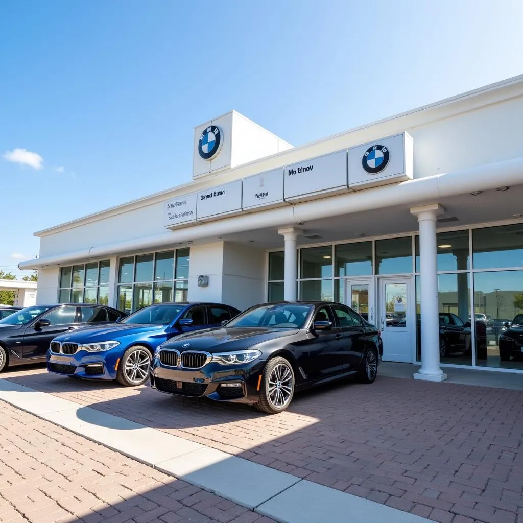 BMW Dealership in Murray