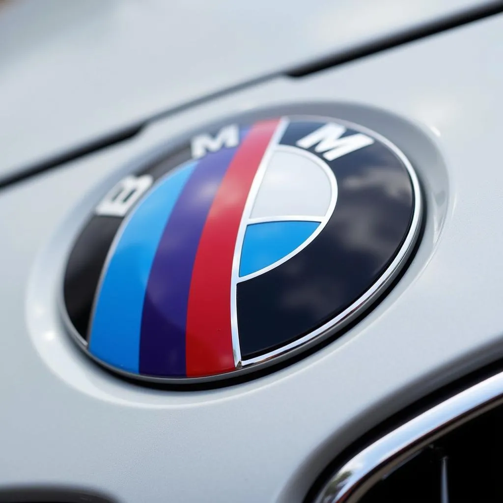 Close-up of the BMW M Emblem