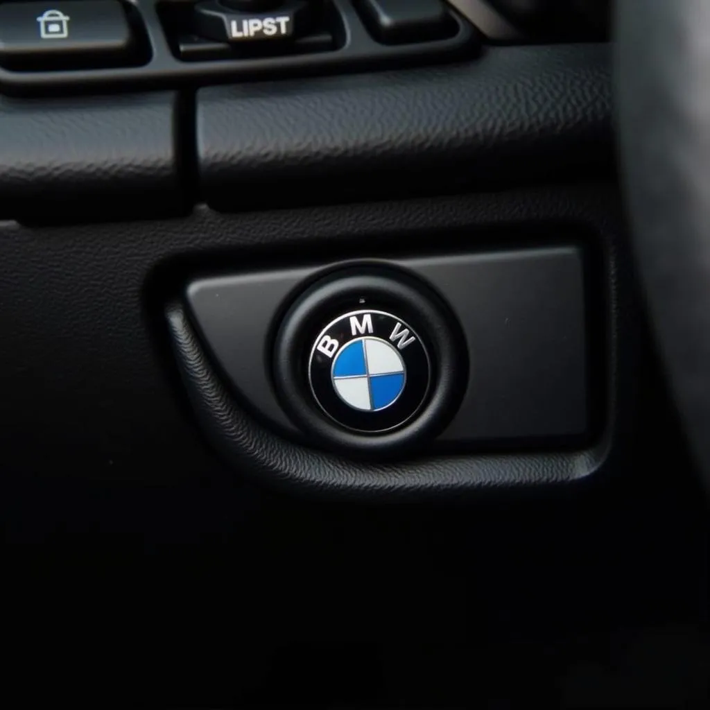 BMW Tire Pressure Reset Button