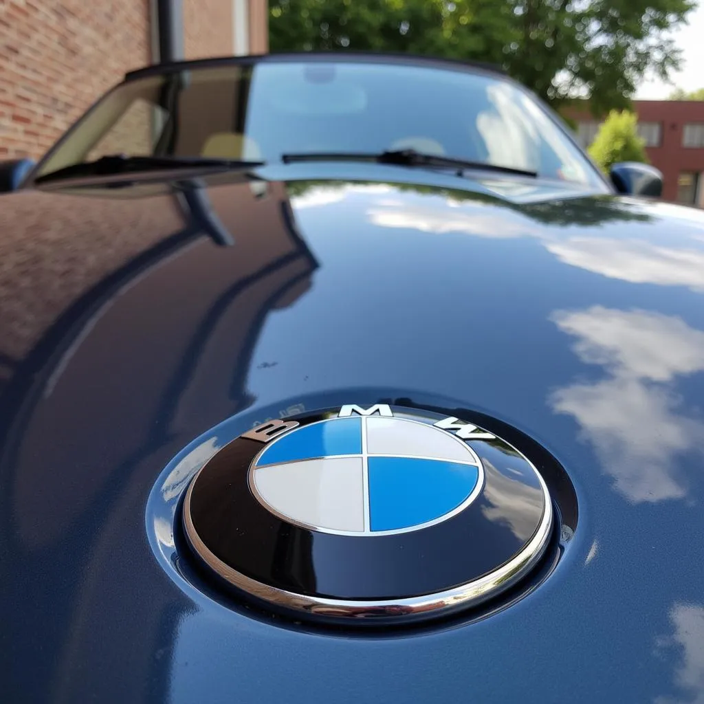 Brand new, shining BMW Z3 emblem after replacement