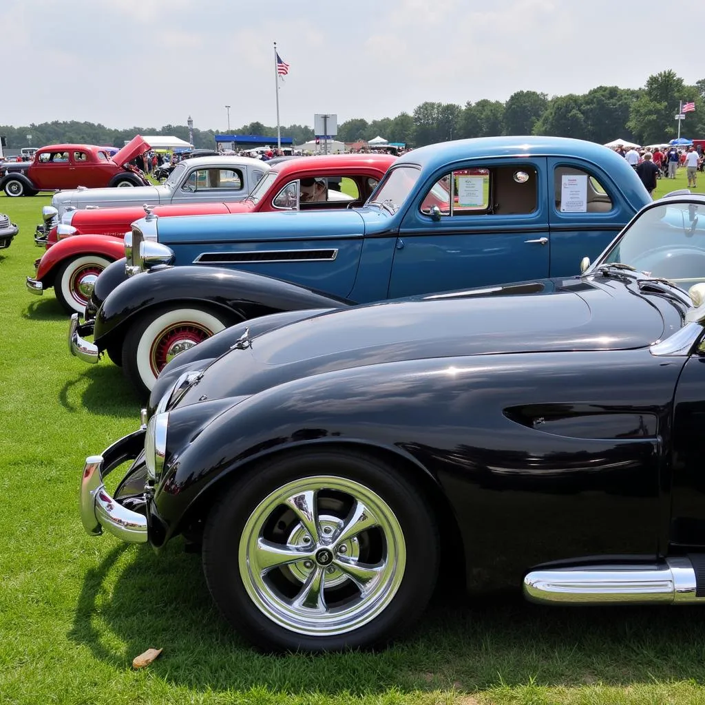 Classic cars lined up for display