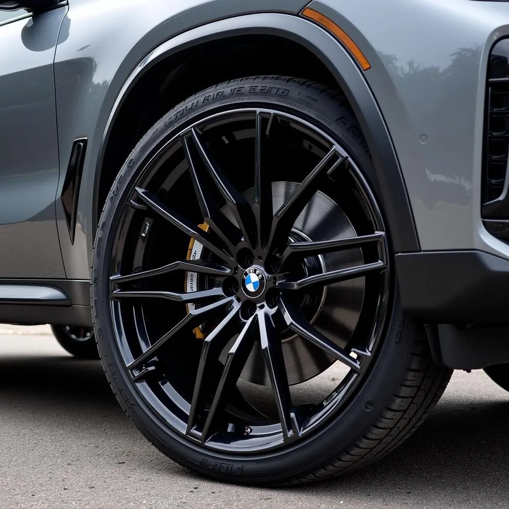 Close-up of BMW X5 22-inch Wheel and Tire