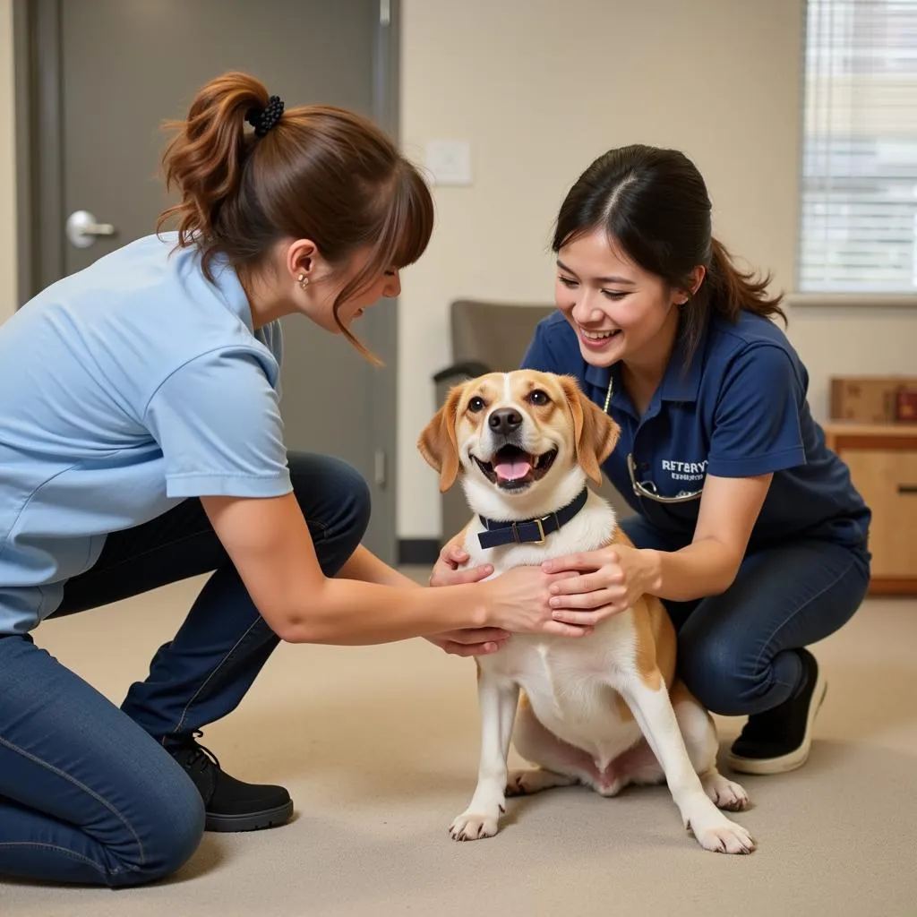 Dog daycare staff member interacting with a dog