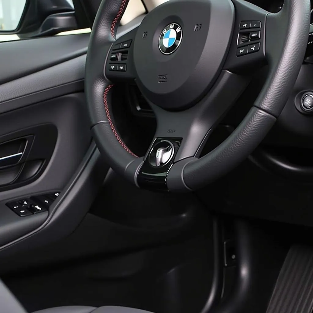 Quick Release Steering Wheel Installed on a BMW