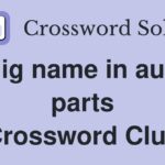 Big name in auto parts Crossword Clue