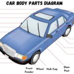 Comprehensive car body parts diagram illustrating the exterior components of a vehicle. This detailed parts of car body diagram showcases essential elements like the hood, bumper, fenders, doors, and roof, aiding in automotive part identification and understanding vehicle anatomy.