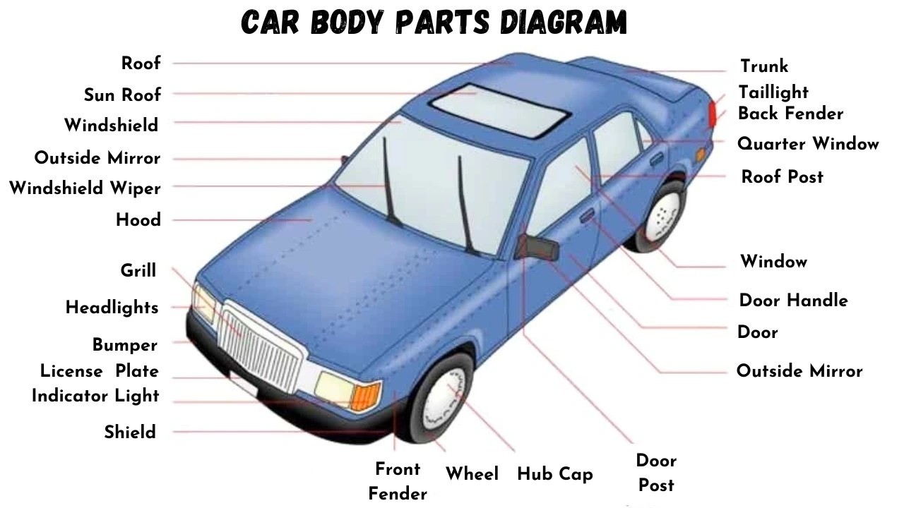 Comprehensive car body parts diagram illustrating the exterior components of a vehicle. This detailed parts of car body diagram showcases essential elements like the hood, bumper, fenders, doors, and roof, aiding in automotive part identification and understanding vehicle anatomy.