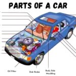 Engine Parts Diagram with Labels