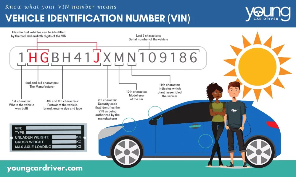 VIN explanation digram